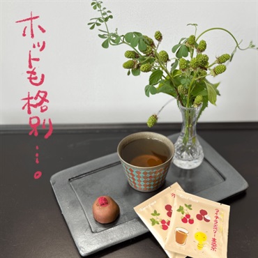 【6/17(金)12:00新発売！】ティーバッグ5p｜ライチラズベリー麦茶 2022