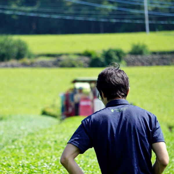 アサヒ - 大吉茶房主☆ 大吉茶寮 - 味噌の中山大吉商店味噌の中山大吉商店
