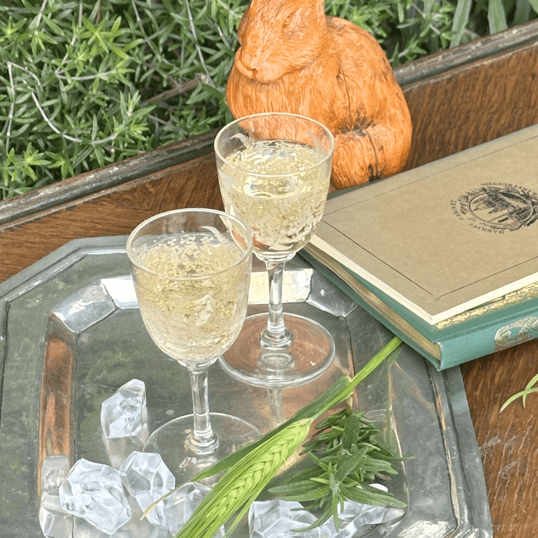専用☆カレルチャペック紅茶店☆グリーングッディー☆水出し☆１５袋☆ 水出しグリーングッディ2026 | カレルチャペック紅茶店 公式通販サイト
