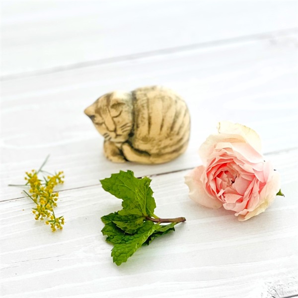 グッドナイトカモミール｜ティーバッグ5p | カレルチャペック紅茶店