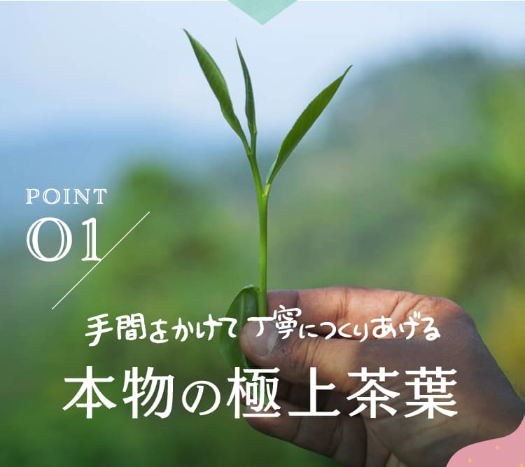 かるちぇの紅茶様確認専用ページ❷ まつもと紅茶 - 坂之上製茶オンラインショップ