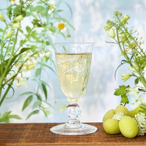水出しベスト3 セレクション | カレルチャペック紅茶店 公式通販