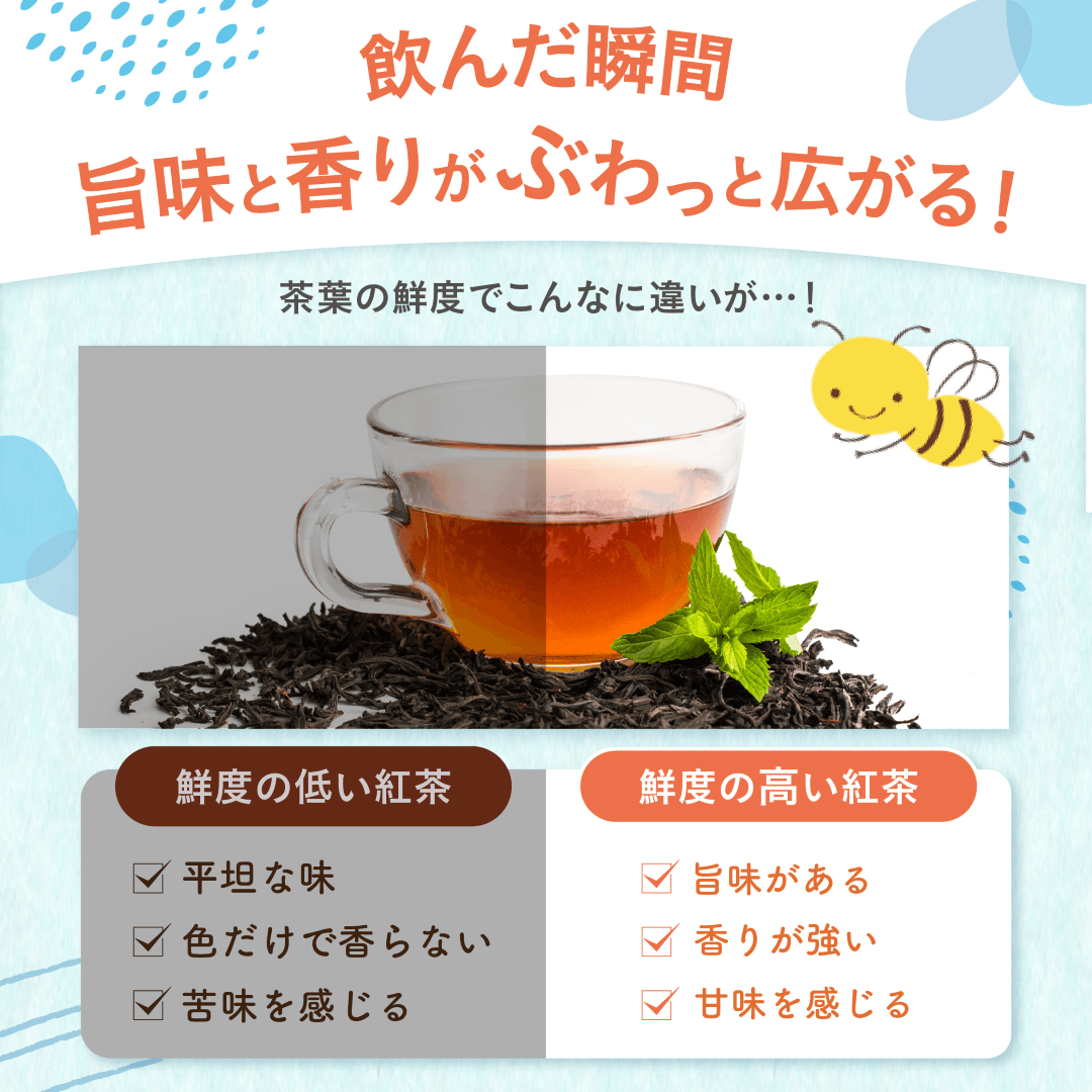 水出しグリーングッディ2026 | カレルチャペック紅茶店 公式通販サイト