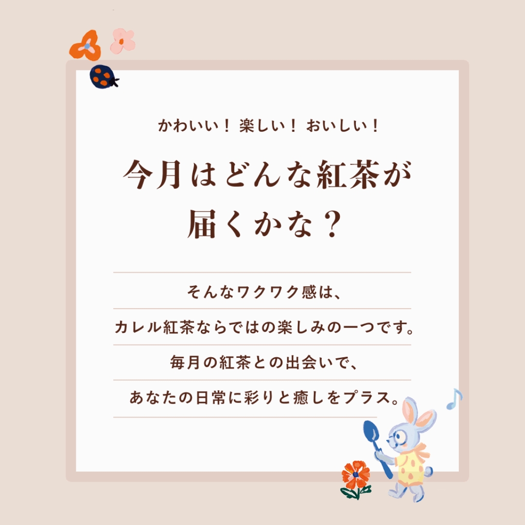 カレル紅茶定期便】ベーシックコース | カレルチャペック紅茶店 公式